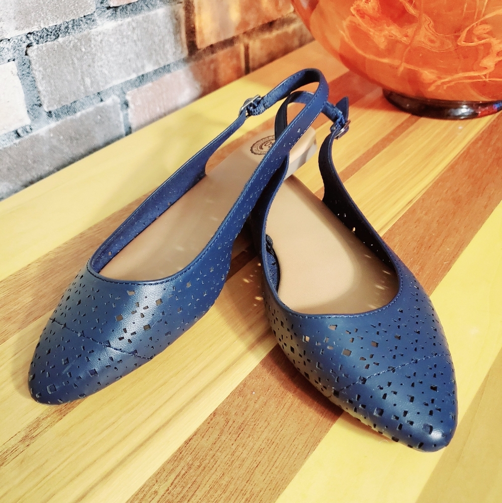 Blue Flats 7.5